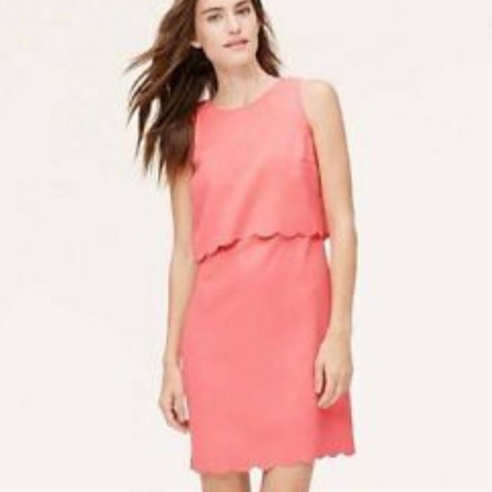 Never worn LOFT dress!